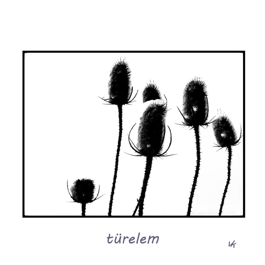 MINIK - türelem