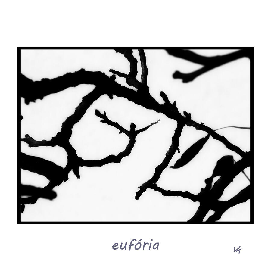 MINIK - eufória