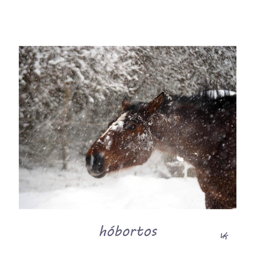 MINIK - hóbortos