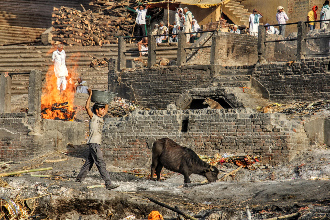 Körforgás - élet és halál