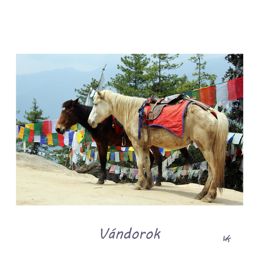 MINIK - Vándorok