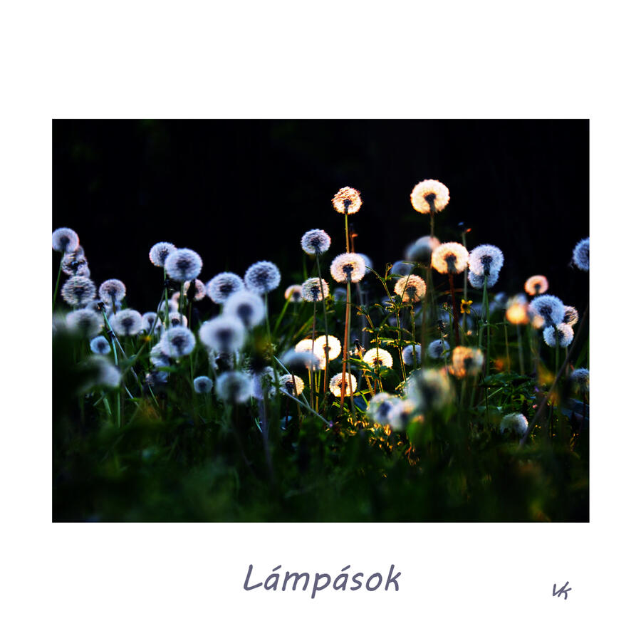 MINIK - Lámpások 12.000 Ft