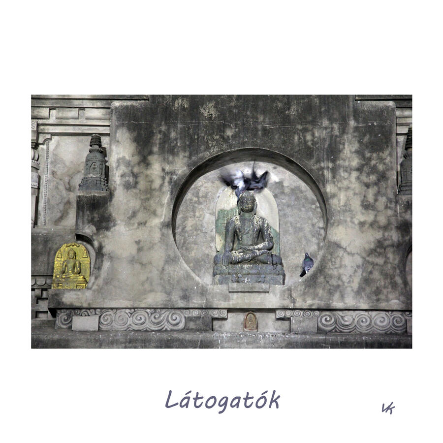 MINIK - Látogatók 12.000 Ft