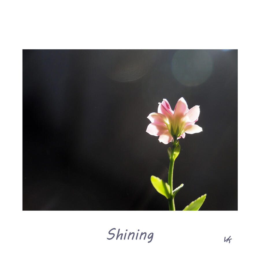 MINIK - Shining