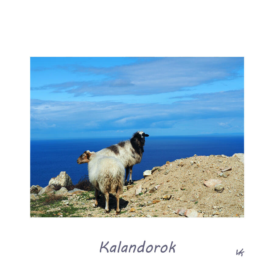 MINIK - Kalandorok 12.000 Ft