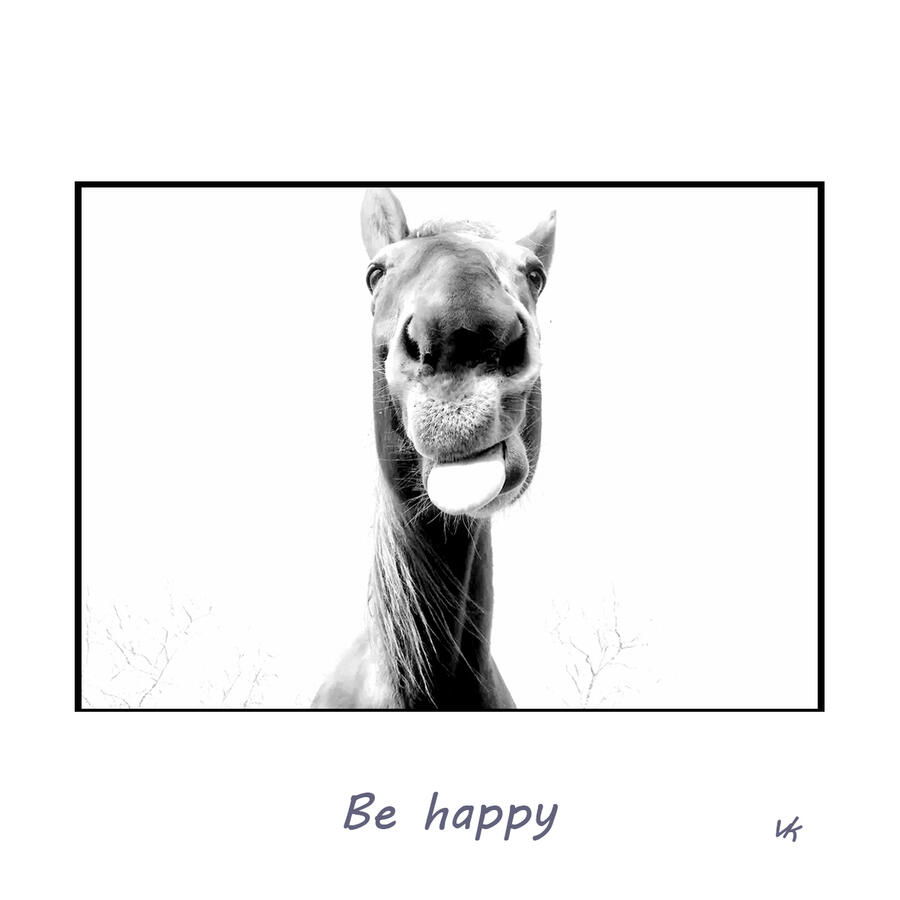 MINIK - Be happy 12.000 Ft