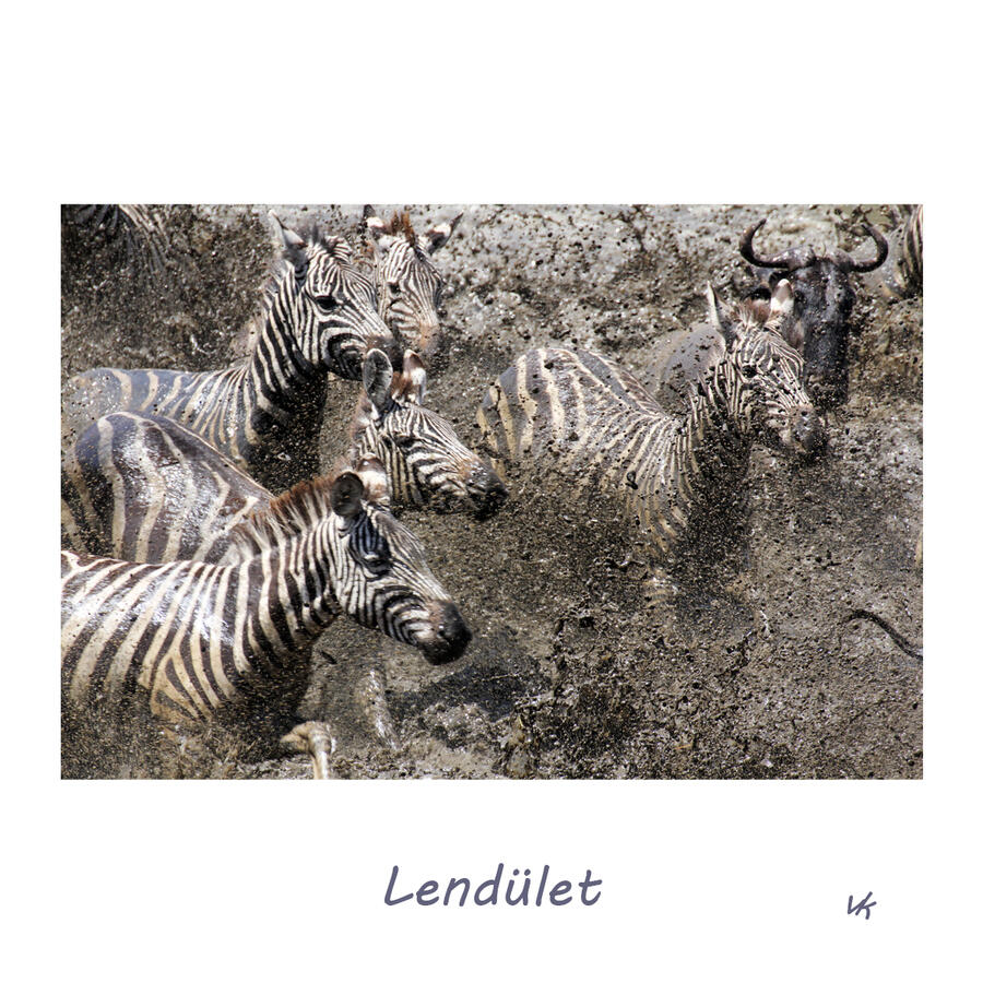 MINIK - Lendület