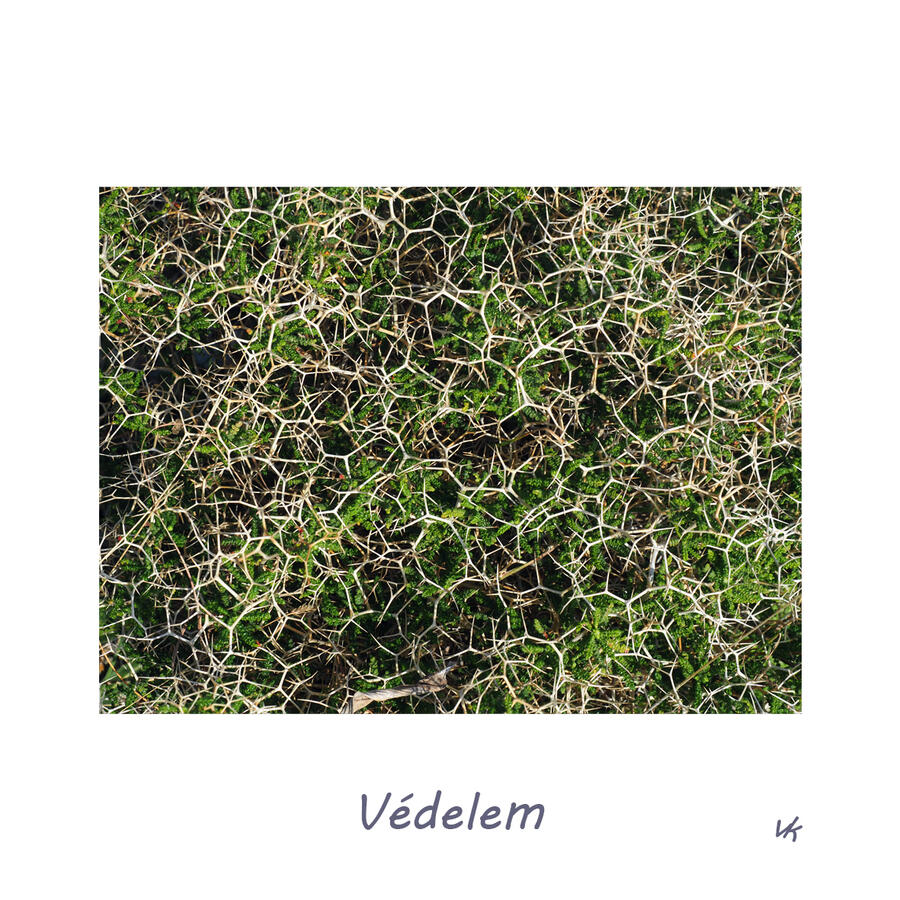 MINIK - Védelem