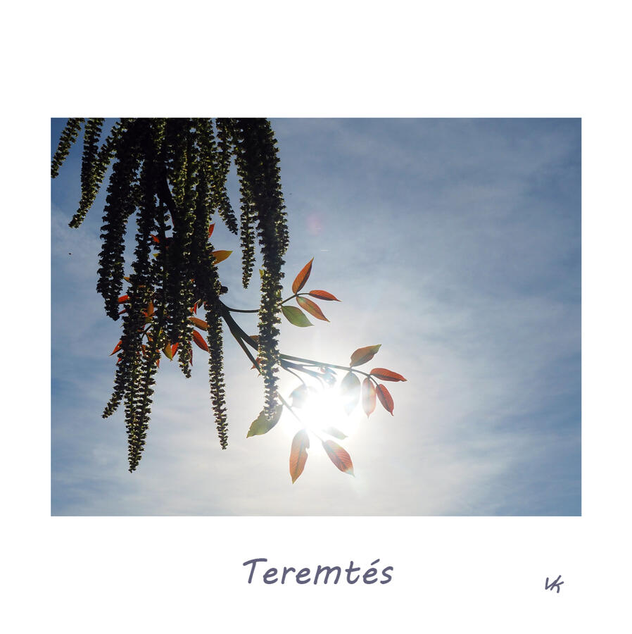 MINIK - Teremtés