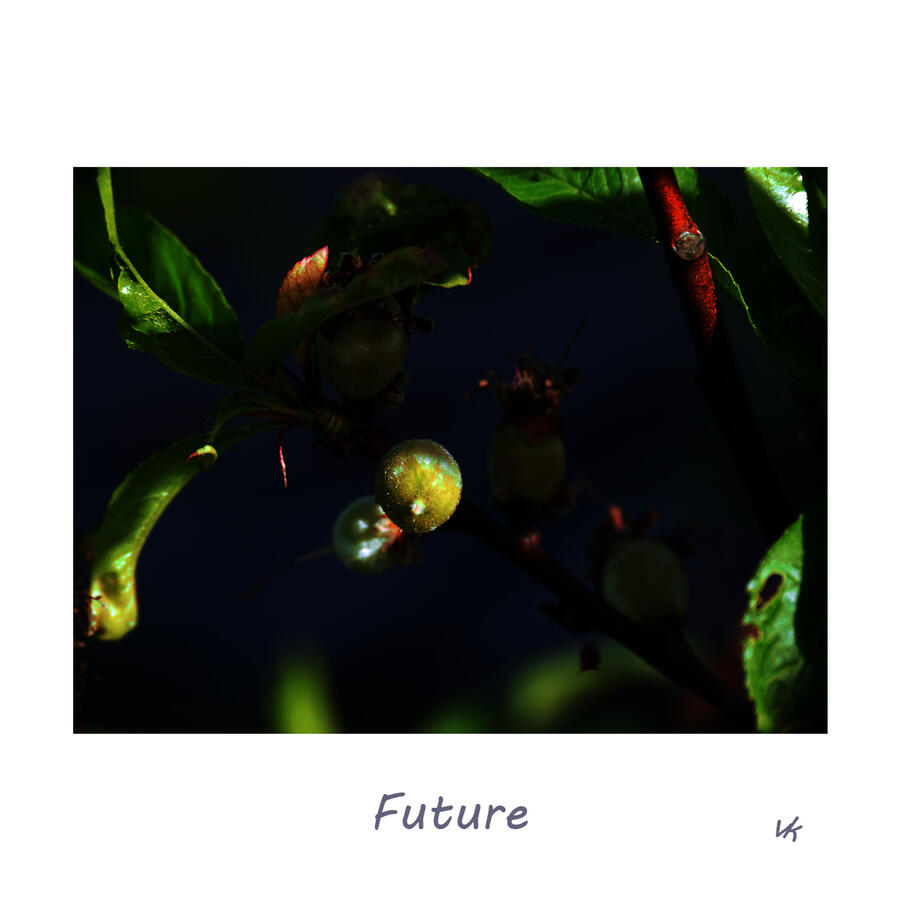 MINIK - Future 12.000 Ft